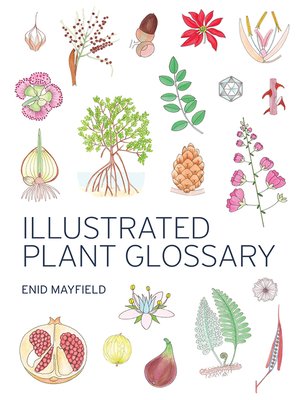 cover image of Illustrated Plant Glossary
